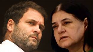 तो क्या अमेठी और सुल्तानपुर सीट पर 'गांधी बनाम गांधी' का मुकाबला होगा?