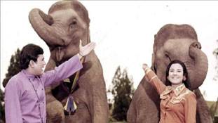 वो गाने जो अनजाने में चुनाव प्रचार कर जाते हैं..