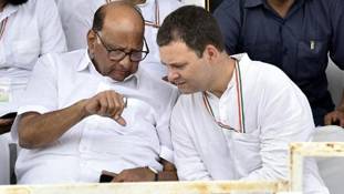 महाराष्ट्र चुनाव से पहले कांग्रेस-एनसीपी का जहाज डूबने के कगार पर क्यों? महाराष्ट्र चुनाव से पहले कांग्रेस-एनसीपी का जहाज डूबने के कगार पर क्यों?