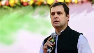 राहुल गांधी: लोकसभा चुनाव में हार से नाराजगी विधानसभा चुनाव भी न ले डूबे! राहुल गांधी: लोकसभा चुनाव में हार से नाराजगी विधानसभा चुनाव भी न ले डूबे!