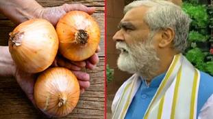सरकारें गिरा देने वाली प्याज को पहचानने से अश्विनी चौबे का इनकार बस ढोंग है ! सरकारें गिरा देने वाली प्याज को पहचानने से अश्विनी चौबे का इनकार बस ढोंग है !