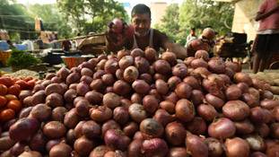कहीं मिल रहा Onion Loan तो कहीं Onion Dosa बंद, देखिए क्या-क्या गुल खिला रहा है प्याज! कहीं मिल रहा Onion Loan तो कहीं Onion Dosa बंद, देखिए क्या-क्या गुल खिला रहा है प्याज!