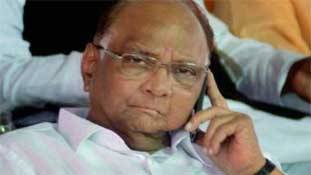 शरद पवार महाराष्ट्र के बाद आने वाले कई विधानसभा चुनाव में काम आएंगे! शरद पवार महाराष्ट्र के बाद आने वाले कई विधानसभा चुनाव में काम आएंगे!
