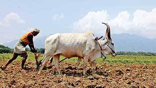 आखिर सबसे ज्यादा अग्निपरीक्षा अन्नदाता की ही क्यों?