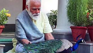 मोदी जी की लीला से मोर धन्य हुआ, और हम भी!