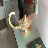 'अलादीन का चिराग' पाने के लिए लंदन से आए 'डाकसाब' ने तो हद कर दी! 'अलादीन का चिराग' पाने के लिए लंदन से आए 'डाकसाब' ने तो हद कर दी!