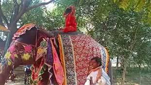 बाबा रामदेव गिरे नहीं हैं, ये विज्ञापन है तुमको जागरूक करने के लिए... बाबा रामदेव गिरे नहीं हैं, ये विज्ञापन है तुमको जागरूक करने के लिए...