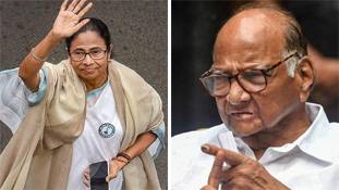 ममता बनर्जी को अभी वोटर का समर्थन चाहिये - शरद पवार जैसा मोरल सपोर्ट नहीं ममता बनर्जी को अभी वोटर का समर्थन चाहिये - शरद पवार जैसा मोरल सपोर्ट नहीं