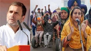 किसान आंदोलन के मुद्दे पर राहुल गांधी की लेटलतीफी ने दिया अकाली दल को हमले का मौका किसान आंदोलन के मुद्दे पर राहुल गांधी की लेटलतीफी ने दिया अकाली दल को हमले का मौका