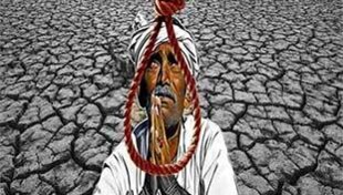 काश कि आपकी एक डीपी, और एक पोस्ट किसानों की हालत सुधार पाती... काश कि आपकी एक डीपी, और एक पोस्ट किसानों की हालत सुधार पाती...