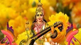 स्वागत है बसंत: तस्वीरें इतनी कि भौरें बाग- खेत छोड़ फोन पर मंडराने लगे हैं!