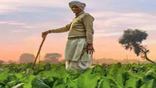 Union Budget 2021 में किसानों को हुए 5 फायदे और 5 नुकसान, जानिए एक नजर में