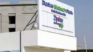 Virafin drug: कोरोना के अचूक इलाज को लेकर एक और दावा, 7 दिनों में खत्म करेगी संक्रमण!