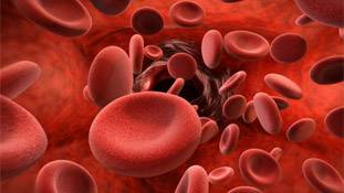 तेजी से प्लेटलेट्स बढ़ाएंगे ये 10 फूड, कोरोना के दौर की अहम जानकारी