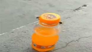 2 मधुमक्खियों के टीमवर्क ने कॉरपोरेट, मार्केटिंग के लोगों को बड़ा सबक दिया है!