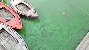 बनारस में गंगा ने विष पी लिया है!