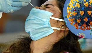 Corona का नया अवतार B1617 है कई गुना ज्यादा खतरनाक, दक्षिण भारत में तेजी से फैल रहा