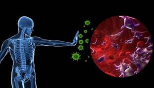 वैक्सीन के अलावा घर पर कैसे बनती है एंटीबॉडी? जानिए...