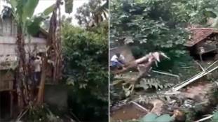 ये कलयुगी कालिदास हैं,  अपनी डाल काटेंगे, मगर साहित्य कभी नहीं रचेंगे