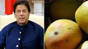चीन और अमेरिका को 'खट्टे' लगे पाकिस्तान के आम, तोहफे की इतनी बेइज्जती क्यों?