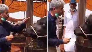 क़ुर्बानी के भैंसे का इंटरव्यू... पाकिस्तान में मीडिया खतरे के निशान से दो बिलांग ऊपर है! क़ुर्बानी के भैंसे का इंटरव्यू... पाकिस्तान में मीडिया खतरे के निशान से दो बिलांग ऊपर है!