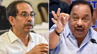 राणे की गिरफ्तारी के बाद 'शिवसैनिक' उद्धव ठाकरे के लिए खतरा बढ़ गया है!