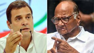 शरद पवार की बातों से लग रहा है, राहुल गांधी की वैष्णो देवी यात्रा सफल नहीं रही शरद पवार की बातों से लग रहा है, राहुल गांधी की वैष्णो देवी यात्रा सफल नहीं रही