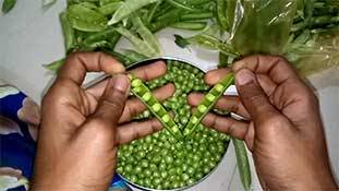 मटर कबाब बनाम मां को गोला देते आजकल के मॉडर्न बच्चे!