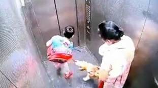 गाजियाबाद में कुत्ते ने बच्चे को काटा लेकिन महफ़िल कुत्ते ने नहीं, निर्मम मालकिन ने लूटी!