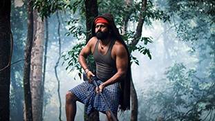 बॉक्स ऑफिस पर कांतारा हिंदी की कमाई आयुष्मान खुराना की डॉक्टर G से क्यों बीस समझी जाए?