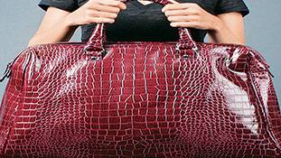 लड़कियों के हैंडबैग में ऐसा क्या होता? जिसे चेक करना मना है!