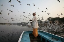 YAMUNA RIVER POLLUTION