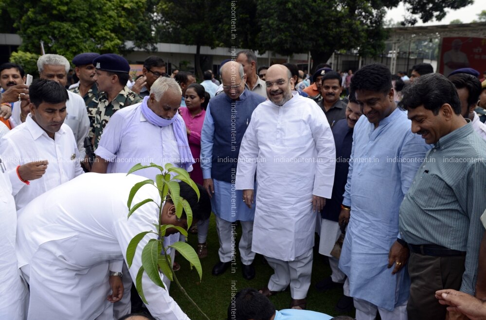 Buy Amit Shah Plan Sapling At Bjp Head Office Pictures Images Photos By Rajwant Rawat News Pictures Wrapped in the tricolour, jaitley's body reached the party office around 11 am and was taken to its. indiacontent
