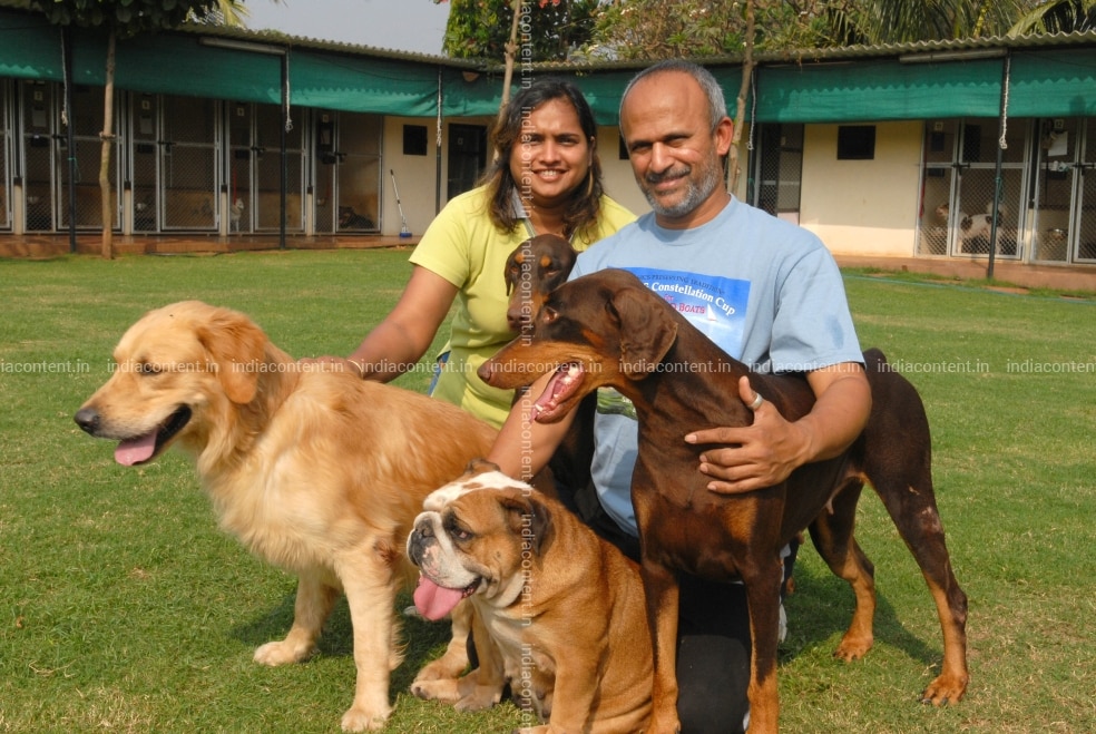 Buy Animal Farm Pictures Images Photos By Mandar Deodhar Archival Pictures The beautiful pink birds have taken over the city of mumbai as humans stay indoors amid the pandemic. buy animal farm pictures images photos by mandar deodhar archival pictures