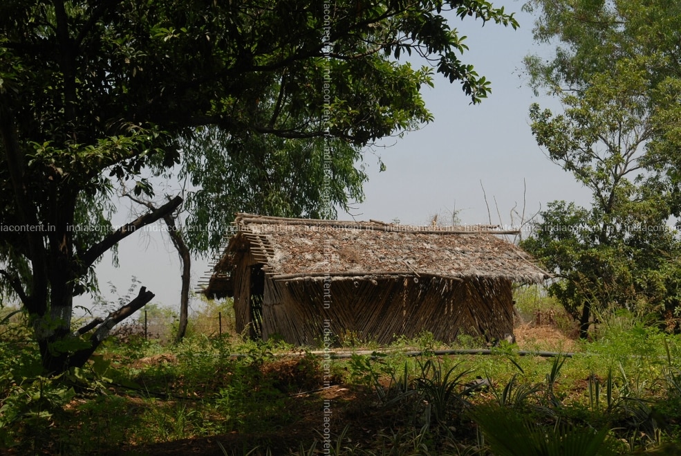 Buy GURUKUL JEEVAN FARM HOUSE Pictures, Images, Photos By MANDAR