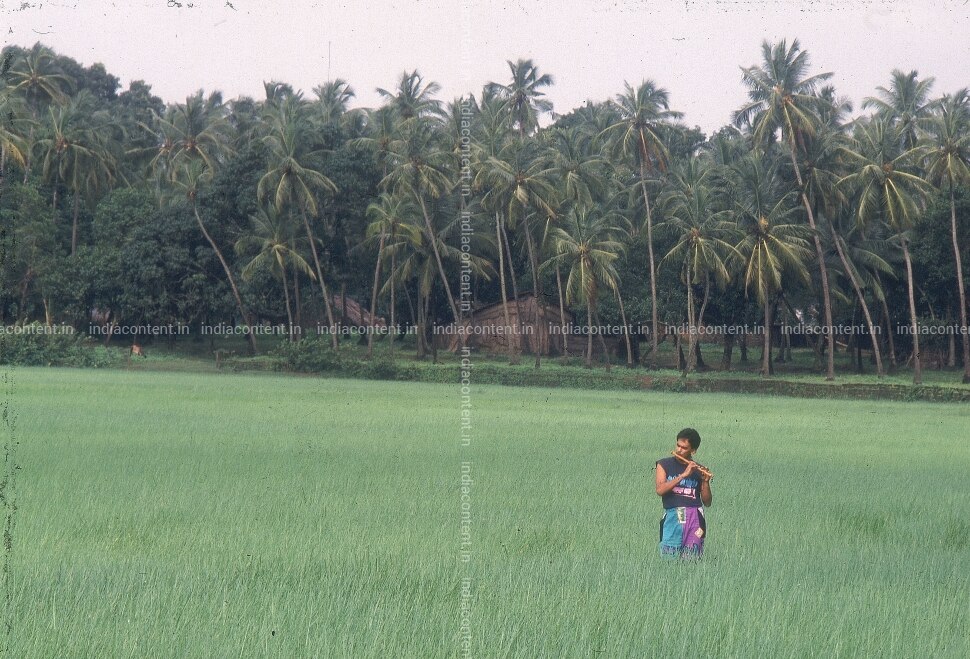 Buy Remo Fernandes Pictures Images Photos By India Today Archival Pictures This browser does not support the html5 audio tag. india content