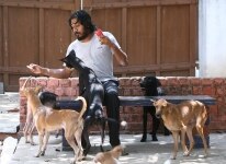 Buy Shravan Krishnan Hotel For Dogs 24 Pictures Images Photos By Jaison G Others Pictures Shravan krishnan was among the group of activists which has campaigned for justice in a case where a man was seen flinging a dog off a building in chennai. buy shravan krishnan hotel for dogs 24