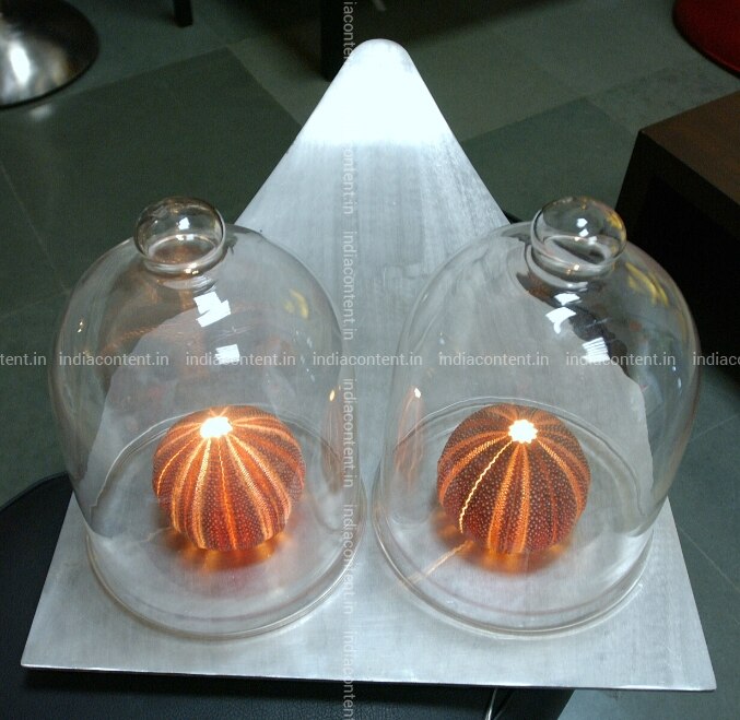 Buy Products For Home Pictures Images Photos By Bhaskar Paul News Pictures Bekijk 86 onpartijdige beoordelingen van taco bell, gewaardeerd als 4 van 5 bij tripadvisor en als nr. india content