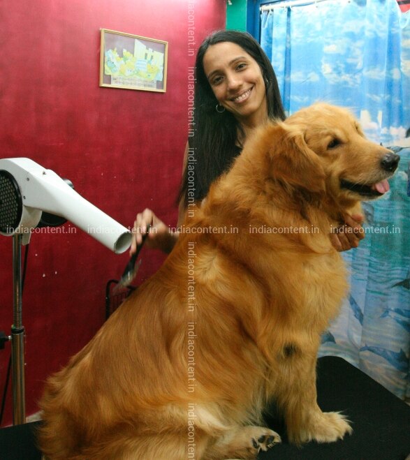 Buy Gauri Keskar Negi Pictures Images Photos By Bhaskar Paul News Pictures This photographs shows isha keskar and rishi malhotra romantic chemistry.