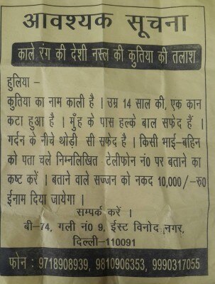 12896431_980410112008323_928079441_o