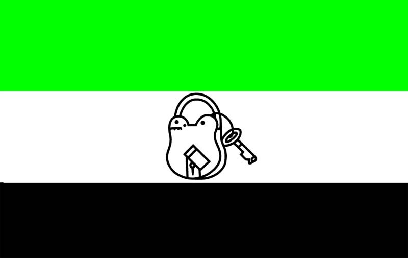 AIUDF का झंडा. ताला-चाभी इनका चुनाव चिह्न है.