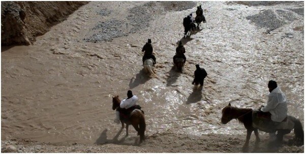 Ponies ITBP