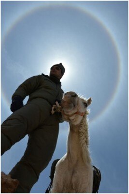 Young Asstt Commandant(Vet) with his pony Neela