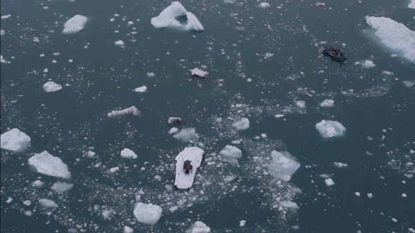 arctic-1