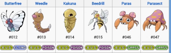 bug type pokemon 12