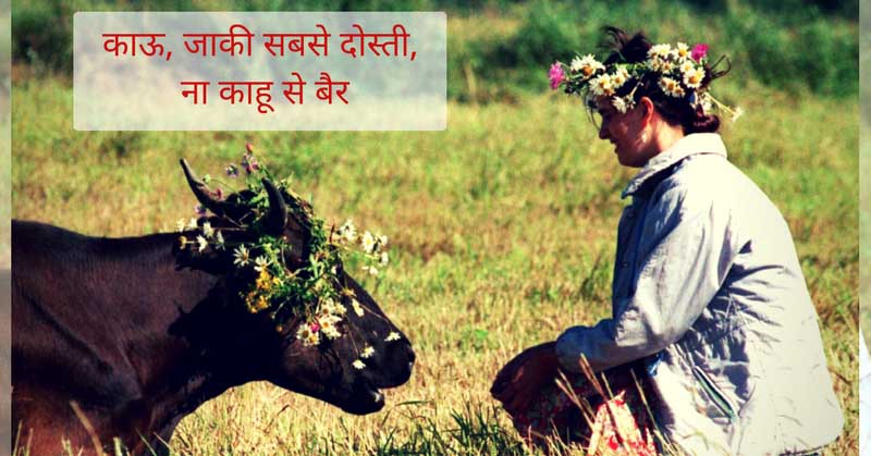 Cow4