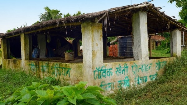 Shed with Worm Compost in Kedia Village in Bihar