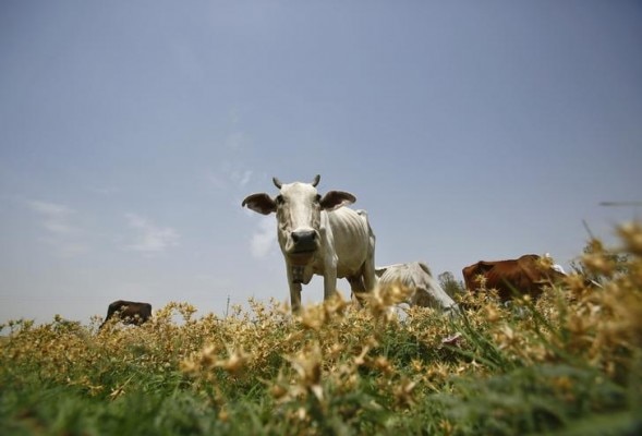 Image: Reuters