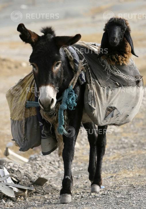 Source : Reuters