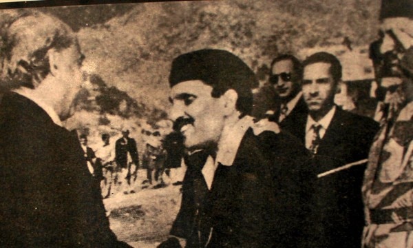 julfikar zia